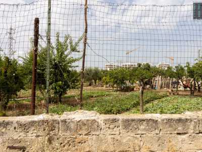Salutiamo i signori e proseguiamo su via Padre Pio costeggiando bassi muretti a secco e delle reti in ferro che lasciano intravedere ampi terreni agricoli